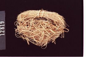 Image representing Prepared Material.