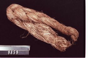 Image representing Hemp.