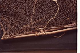 Image representing Net.