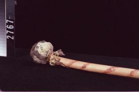 Image representing Stick, walking.