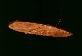 Image representing Board.