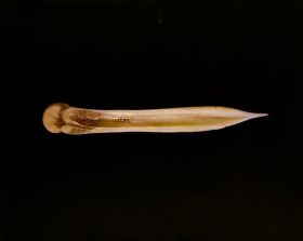 Image representing Awl.