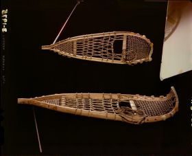 Image representing Snowshoe.