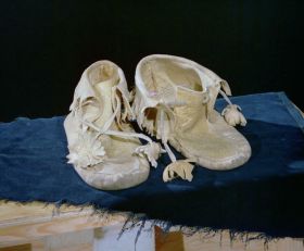 Image representing Moccasin.