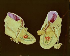 Image representing Moccasin.
