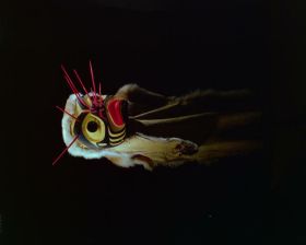 Image representing Mask.