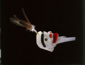 Image representing Mask.