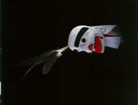 Image representing Mask.
