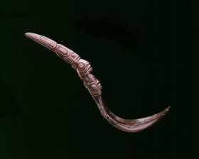 Image representing Spoon.