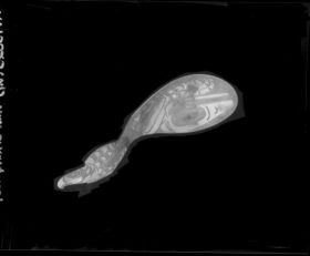 Image representing Spoon.