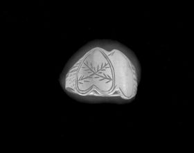 Image representing Ring.