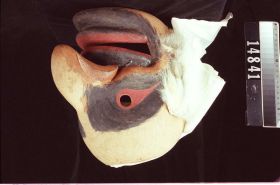 Image representing Mask.