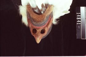 Image representing Mask.