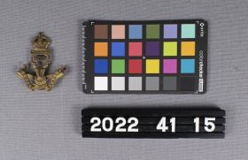 Image representing Badge, Cap.