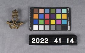 Image representing Badge, Cap.