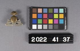 Image representing Badge, Cap.