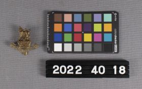 Image representing Badge, Cap.