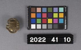 Image representing Badge, Cap.