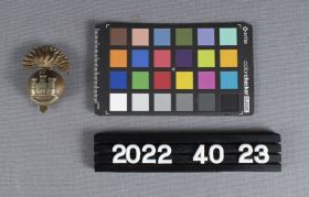 Image representing Badge, Cap.