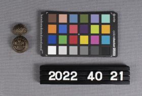 Image representing Badge, Cap.