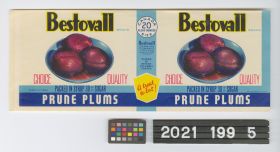 Image representing Label, Can.