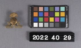 Image representing Badge, Cap.
