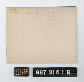Image representing Print, Photographic.