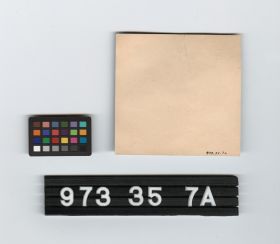 Image représentant beer bottle label