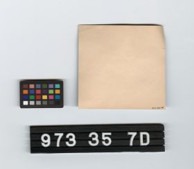 Image représentant beer bottle label