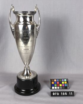 Image representing Trophy.