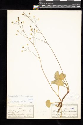 Image representing .