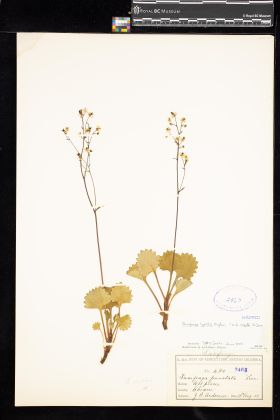 Image representing .