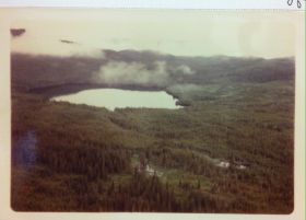 Image representing Catostomus catostomus.