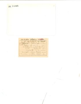 Image représentant Xanthocephalus xanthocephalus