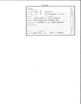 Image representing Psaltriparus minimus.