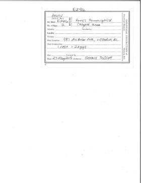 Image representing Calypte anna.