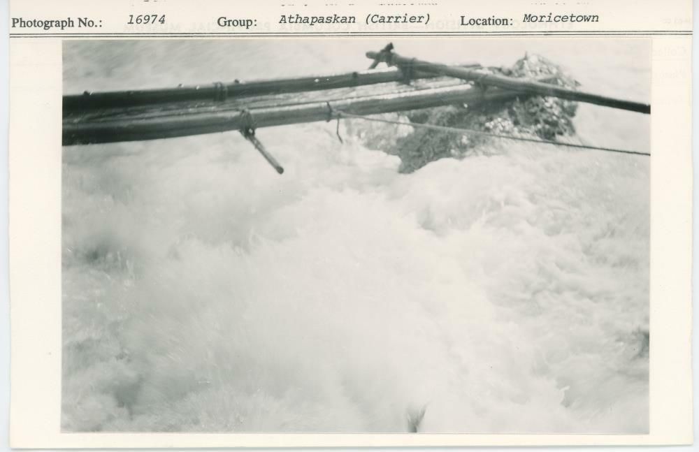 Image representing photograph.
