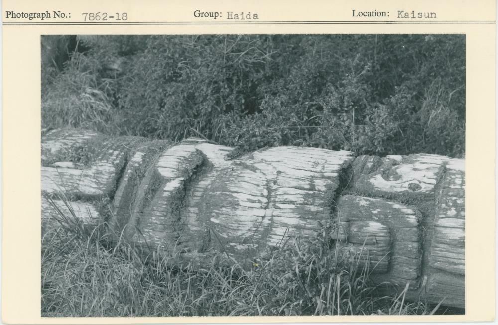 Image representing photograph.