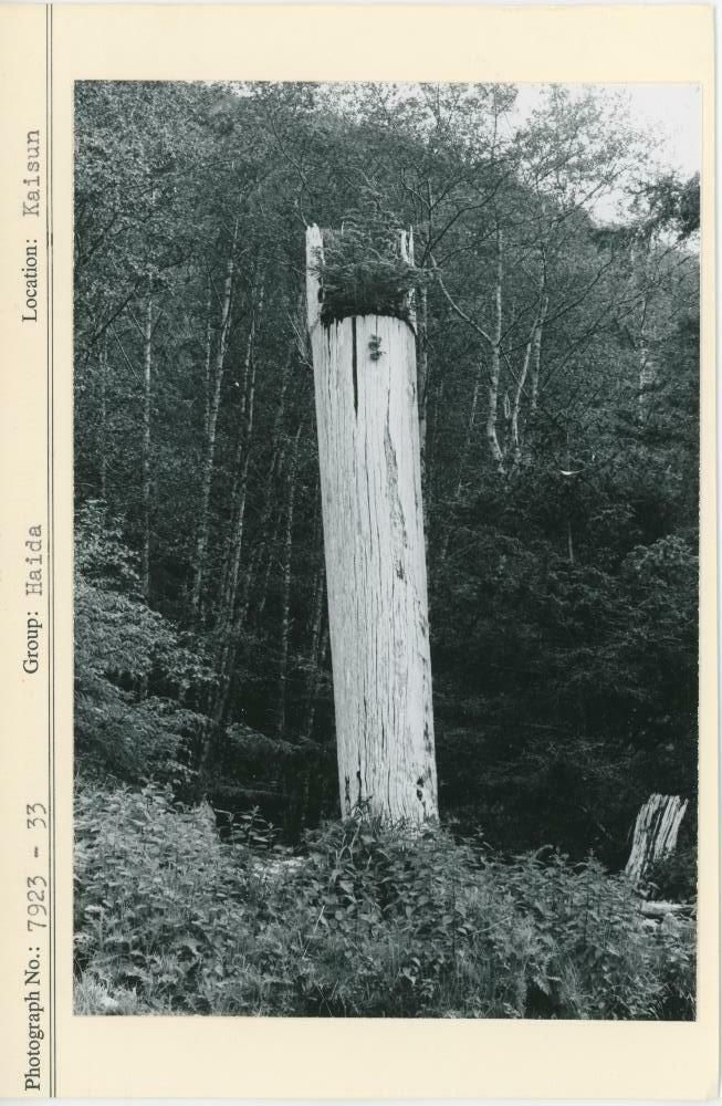Image representing photograph.