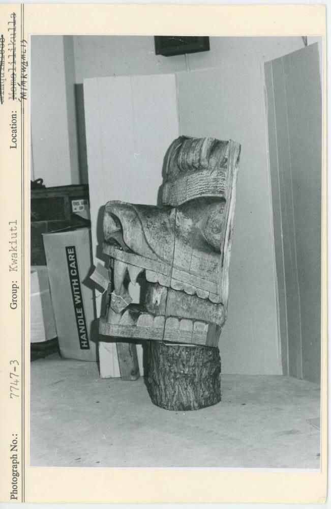 Image representing photograph.