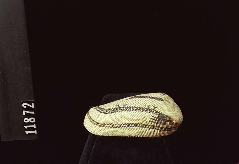 Image representing Shell.