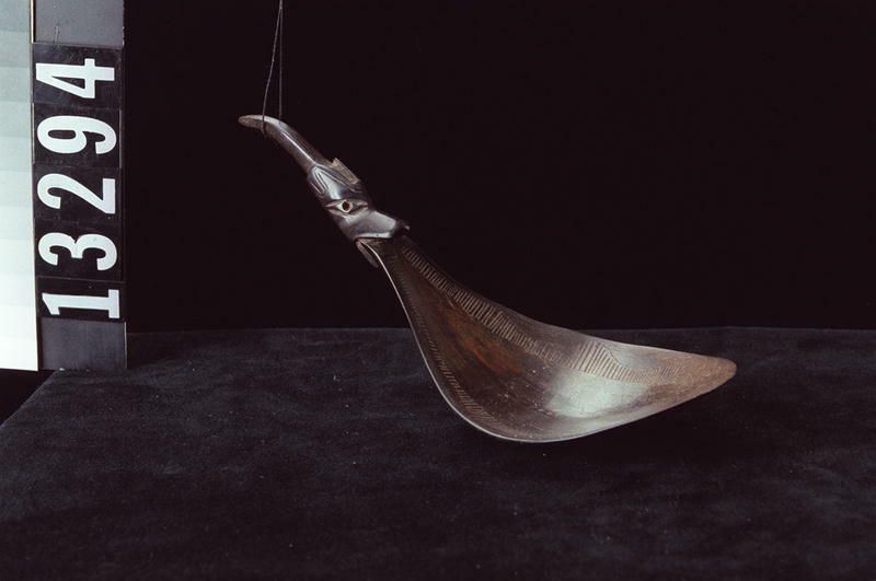 Image representing Spoon.