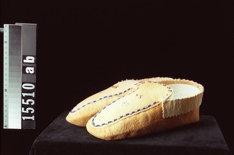 Image representing Moccasin.