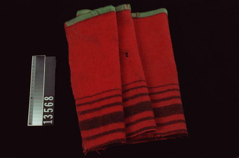 Image representing Blanket.