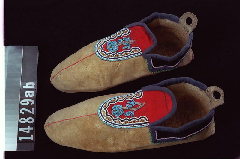 Image representing Moccasin.