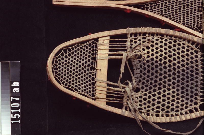 Image representing Snowshoe.