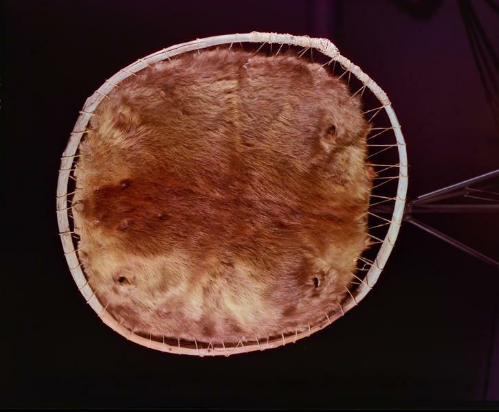 Image representing Pelt; Stretcher.