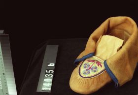 Image representing Moccasin.