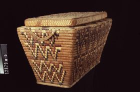 Image representing Trunk.