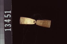 Image representing Bracelet.